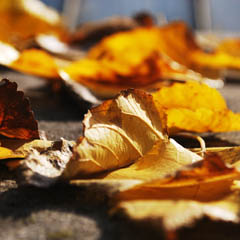 ddos网页在线攻击